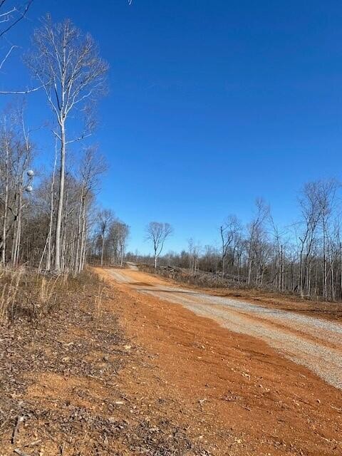 20 River Road Decatur, TN 37322 - Photo 5 of 5 a view of a yard with a tree