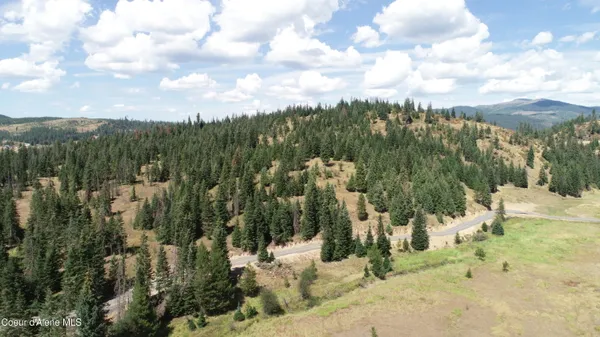 $289,000 | Nna Carpenter Creek Road, Fernwood, ID 83830