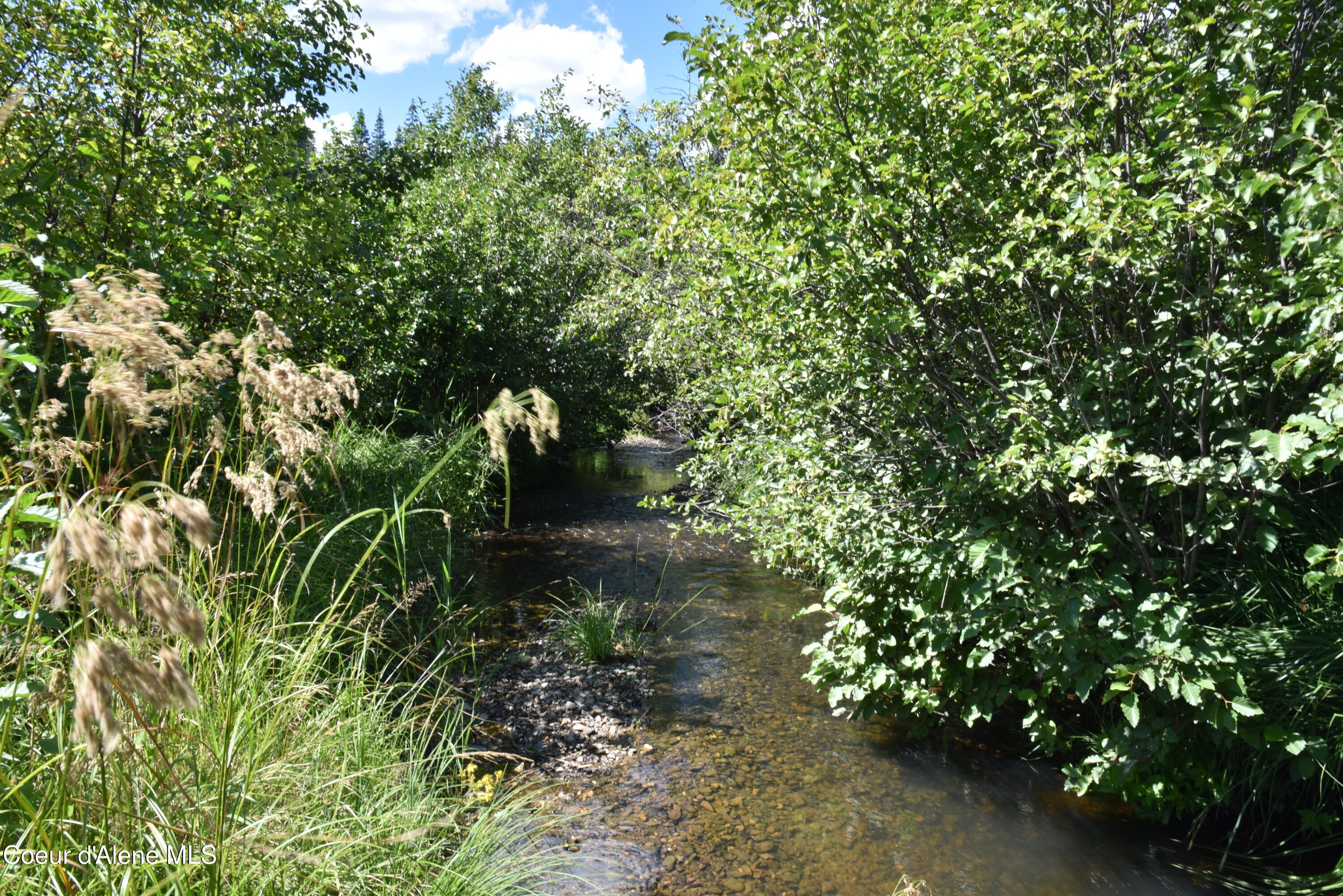 Nna Carpenter Creek Road Fernwood, ID 83830 - Photo 13 of 13 17