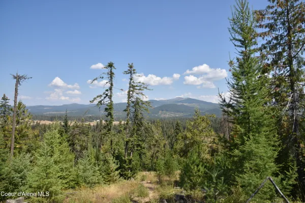 $289,000 | Nna Carpenter Creek Road, Fernwood, ID 83830