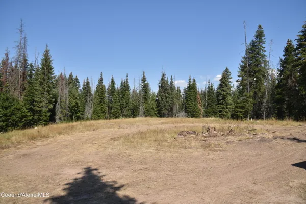 $289,000 | Nna Carpenter Creek Road, Fernwood, ID 83830