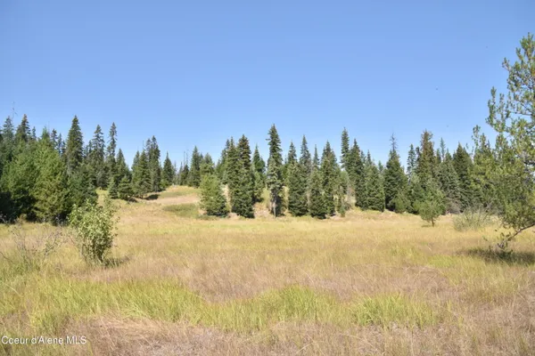 $289,000 | Nna Carpenter Creek Road, Fernwood, ID 83830