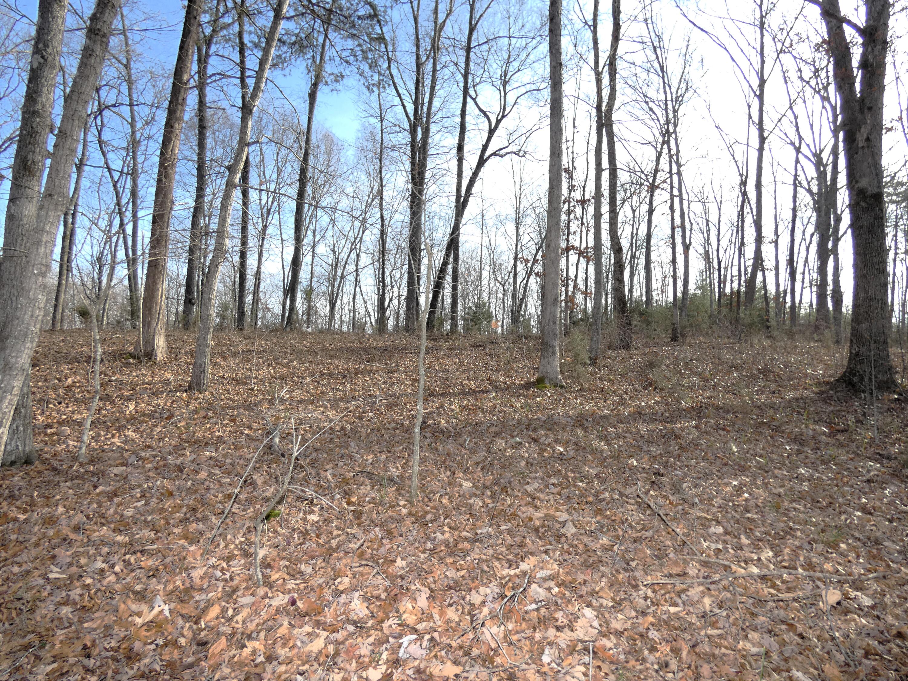 136 West Willow Point Road Monticello, KY 42633 - Photo 10 of 17 P1030098