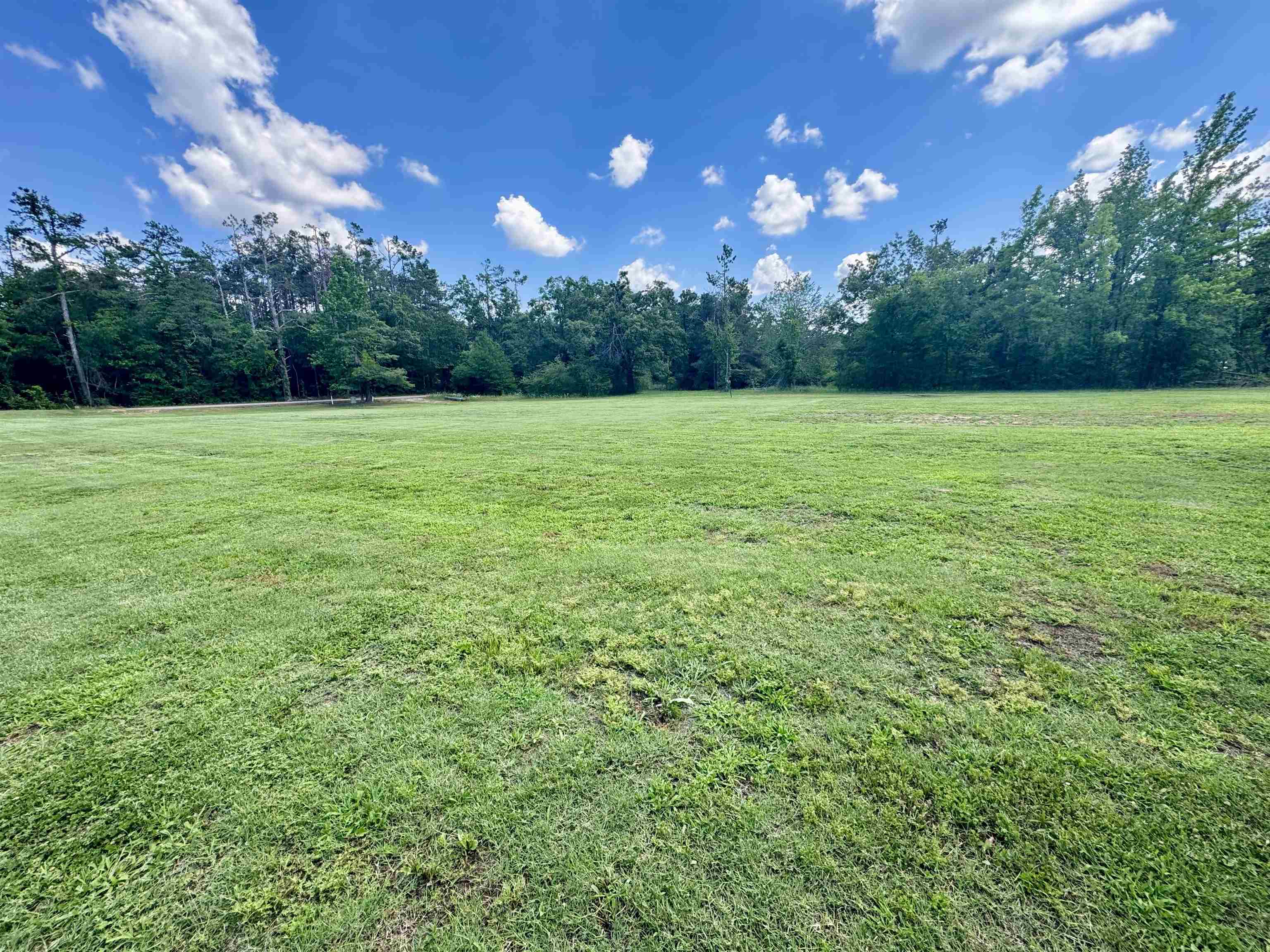 2511 Watkins Road Michie, TN 38357 - Photo 34 of 40 Expansive green space featuring a natural tree line and open sky