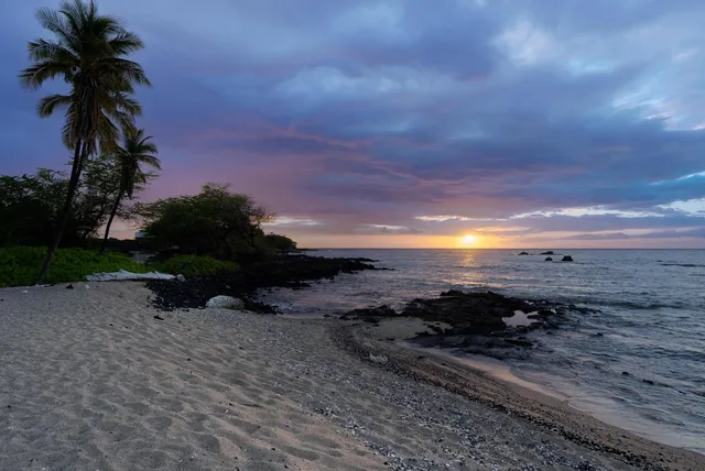 a view of an outdoor space and swimming pool