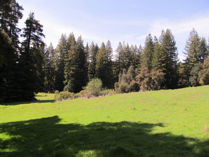 0 Two Two Bar Road Boulder Creek, CA 95006 - Photo 20 of 70 Gallery Image 20