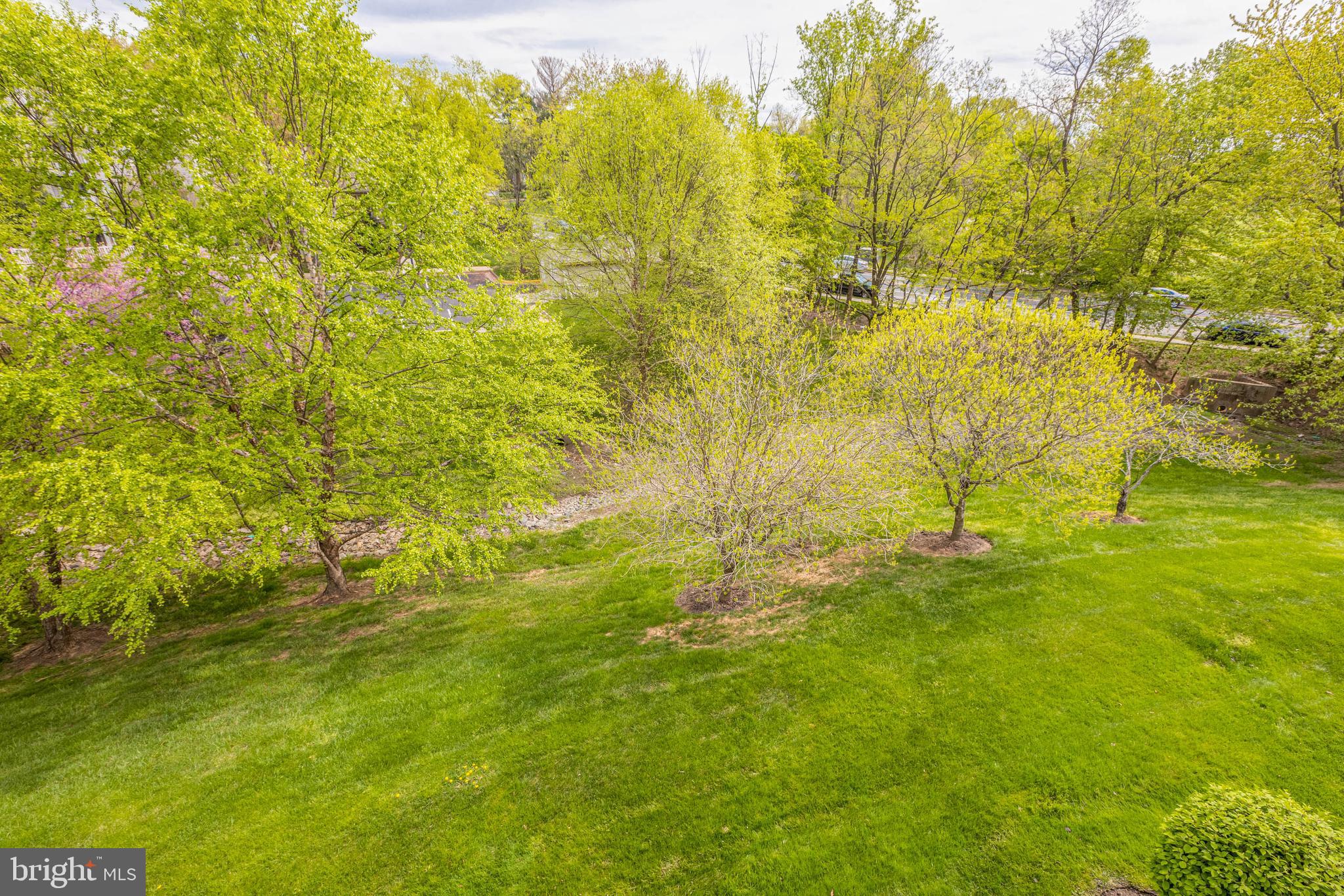 11655 Chesterfield Court, Unit K Reston, VA 20190 - Photo 19 of 25 Gallery Image 19