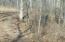 Xxx Happy Hollow Road Anderson, MO 64831 - Photo 1 of 1 Hanke pic- happy hllw rd