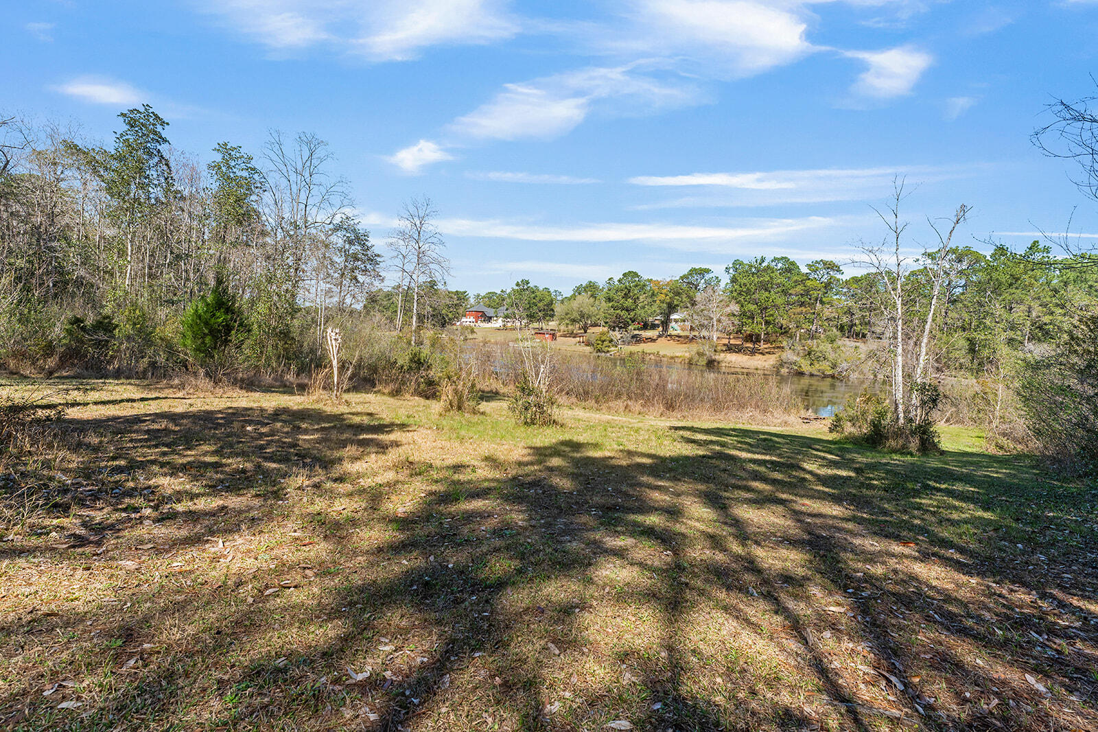 132 Wedgewood Lane Crestview, FL 32536 - Photo 44 of 67 a view of a yard with an trees