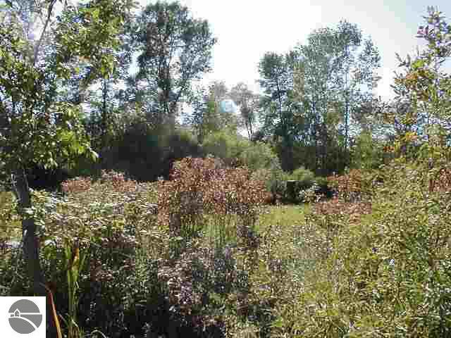 0 North Carter Road Rhodes, MI 48652 - Photo 1 of 1 1762264.JPG