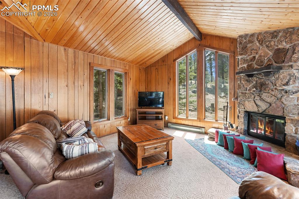 351 Porphry Road Florissant, CO 80816 - Photo 5 of 43 Family Room