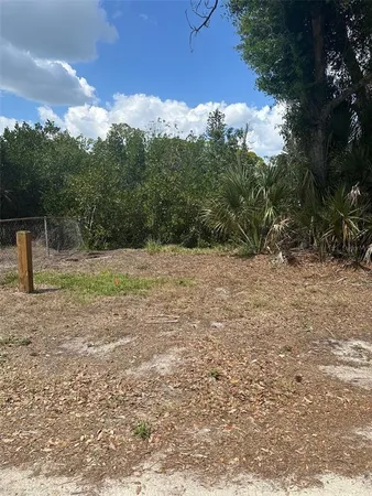 a view of backyard with green space
