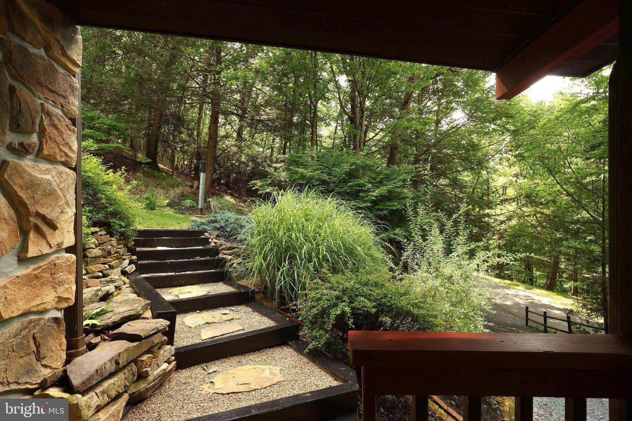 313 Jack Straw Road Julian, PA 16844 - Photo 9 of 69 Serene pathway through lush greenery.