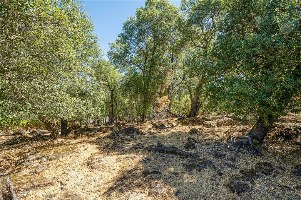 18876 Timber Point Road Hidden Valley Lake, CA 95467 - Photo 4 of 11 Gallery Image 4