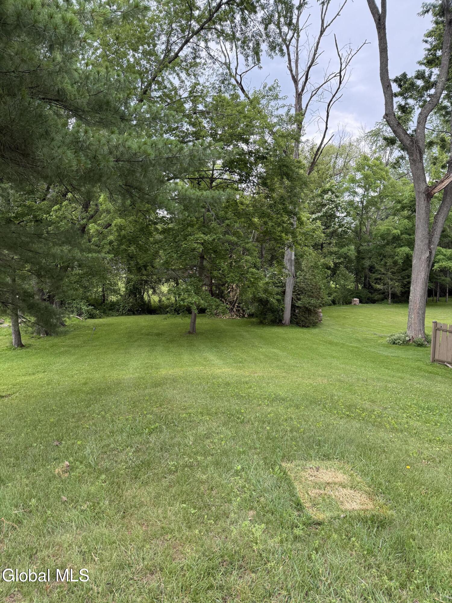 47 Lisha Kill Road Colonie, NY 12205 - Photo 23 of 25 IMG_0985