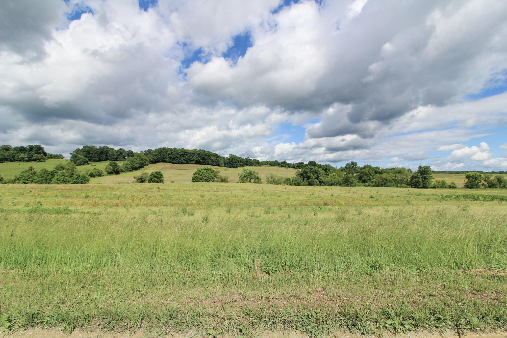 Lot 1 Gratiot Road Southeast Heath, OH 43056 - Photo 4 of 16 3-IMG_8591