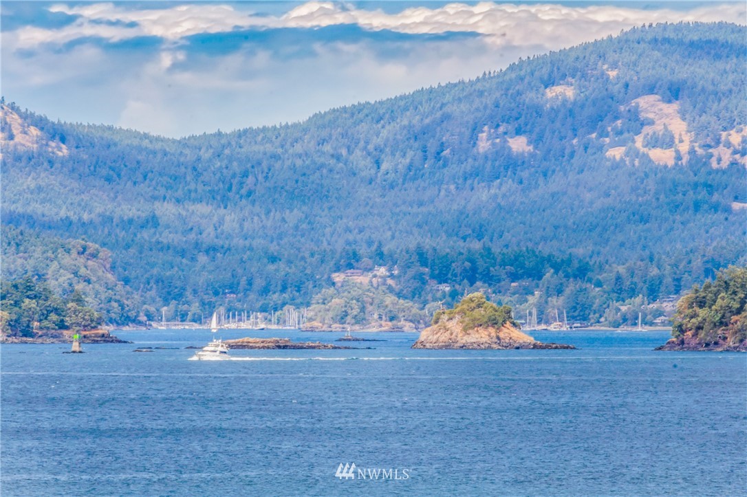79 Washington Way Friday Harbor, WA 98250 - Photo 23 of 30