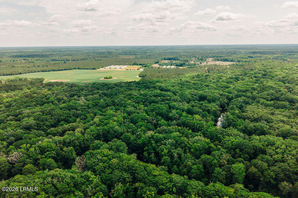 0 Parnel Road Cope, SC 29038 - Photo 3 of 13 DJI_20260511114104_0140_D
