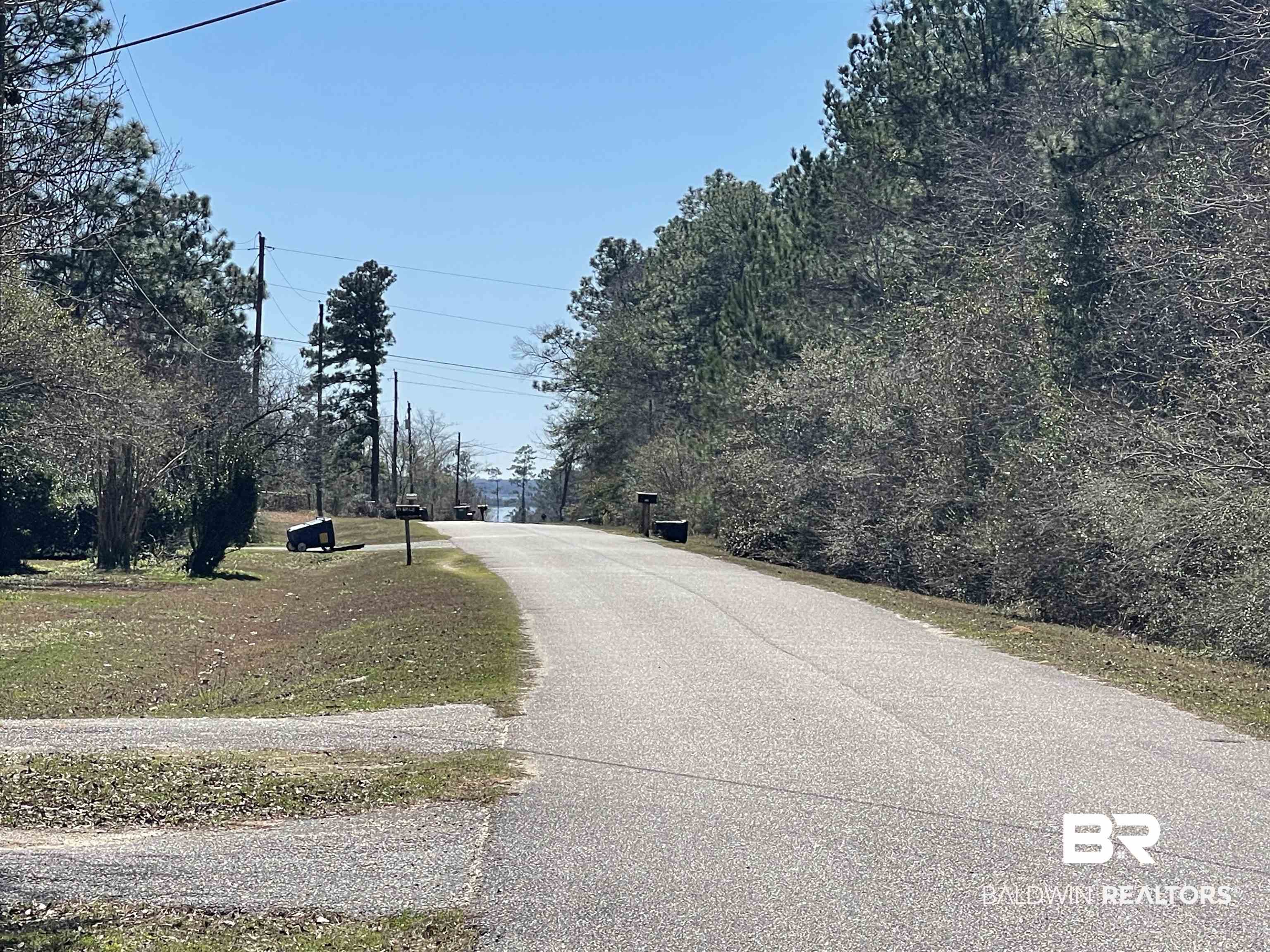 3520 Old Howells Ferry Road Wilmer, AL 36587 - Photo 7 of 7