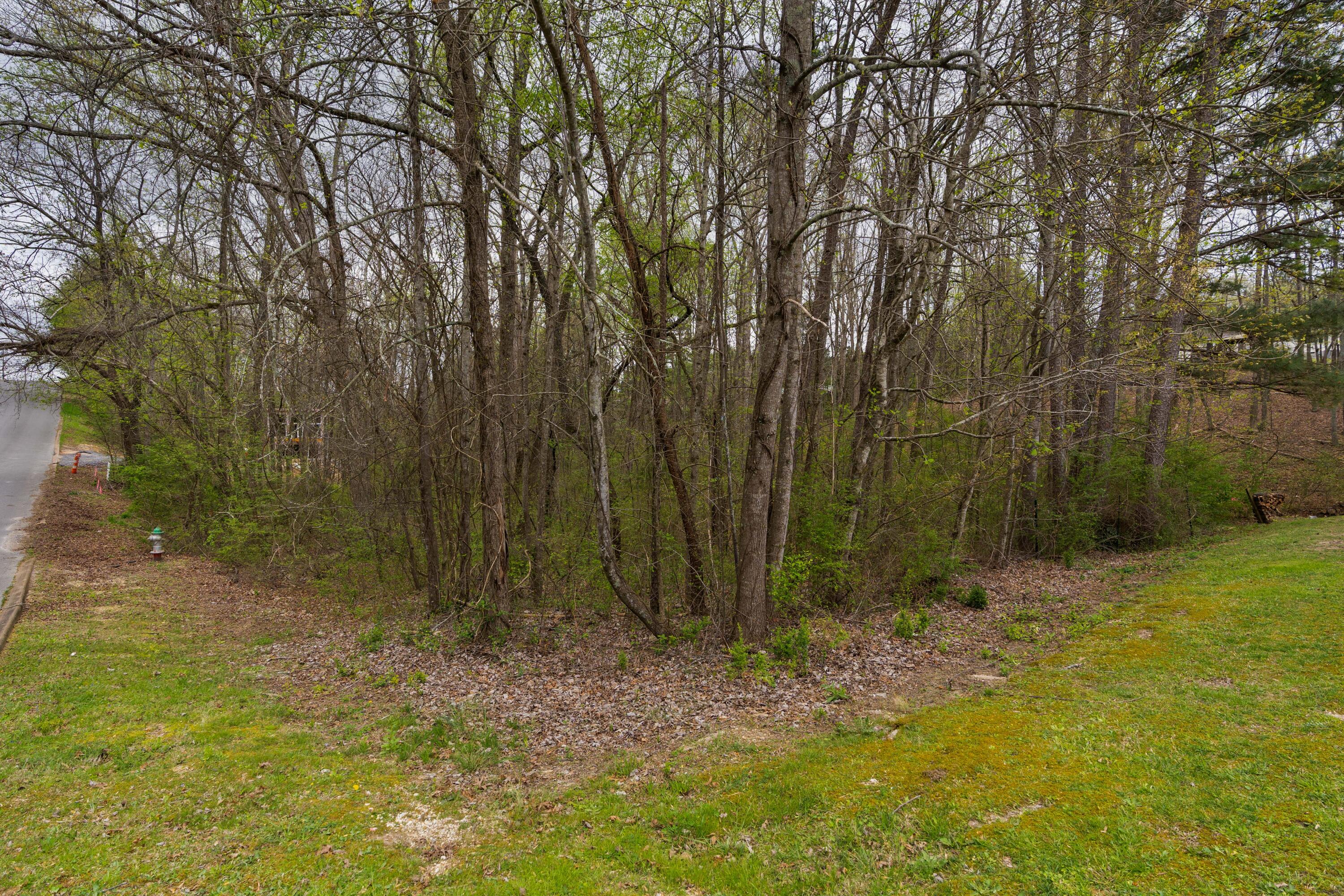 269 Sutton Drive Ringgold, GA 30736 - Photo 45 of 50 21 - 269 Sutton Drive - Exterior