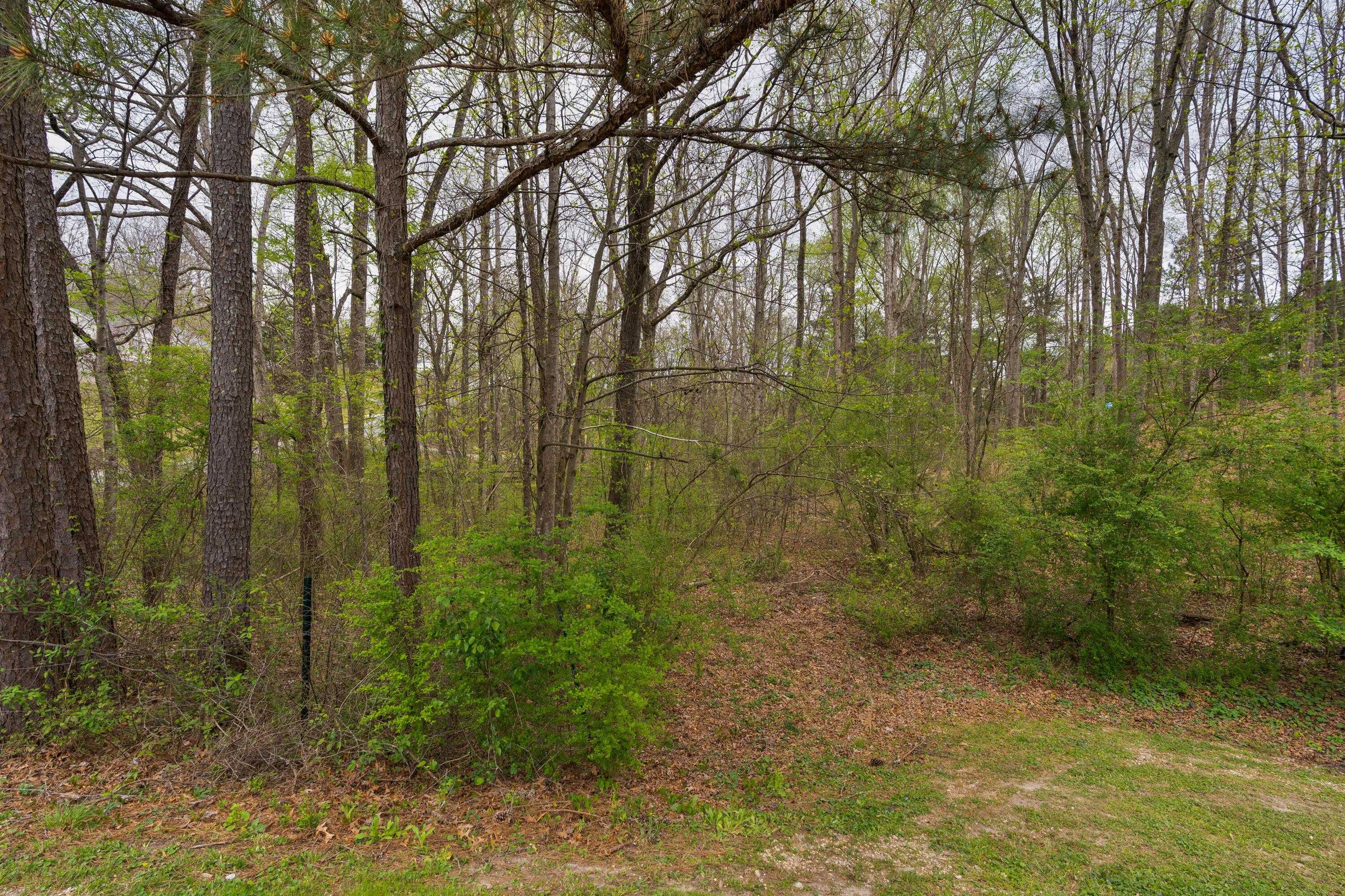 269 Sutton Drive Ringgold, GA 30736 - Photo 46 of 50 22 - 269 Sutton Drive - Exterior