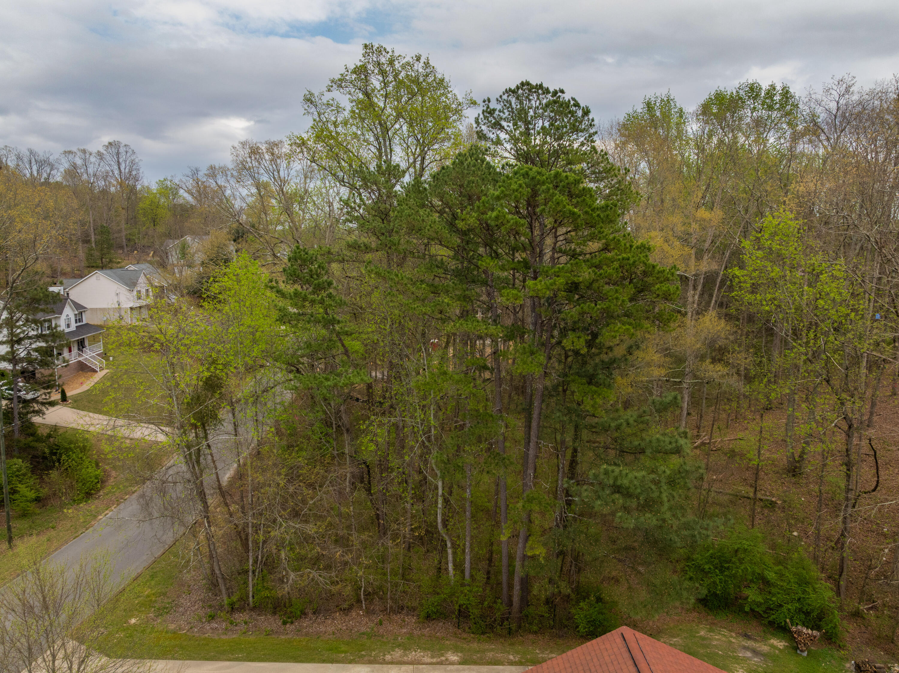269 Sutton Drive Ringgold, GA 30736 - Photo 47 of 50 12 - 269 Sutton Drive - Drone