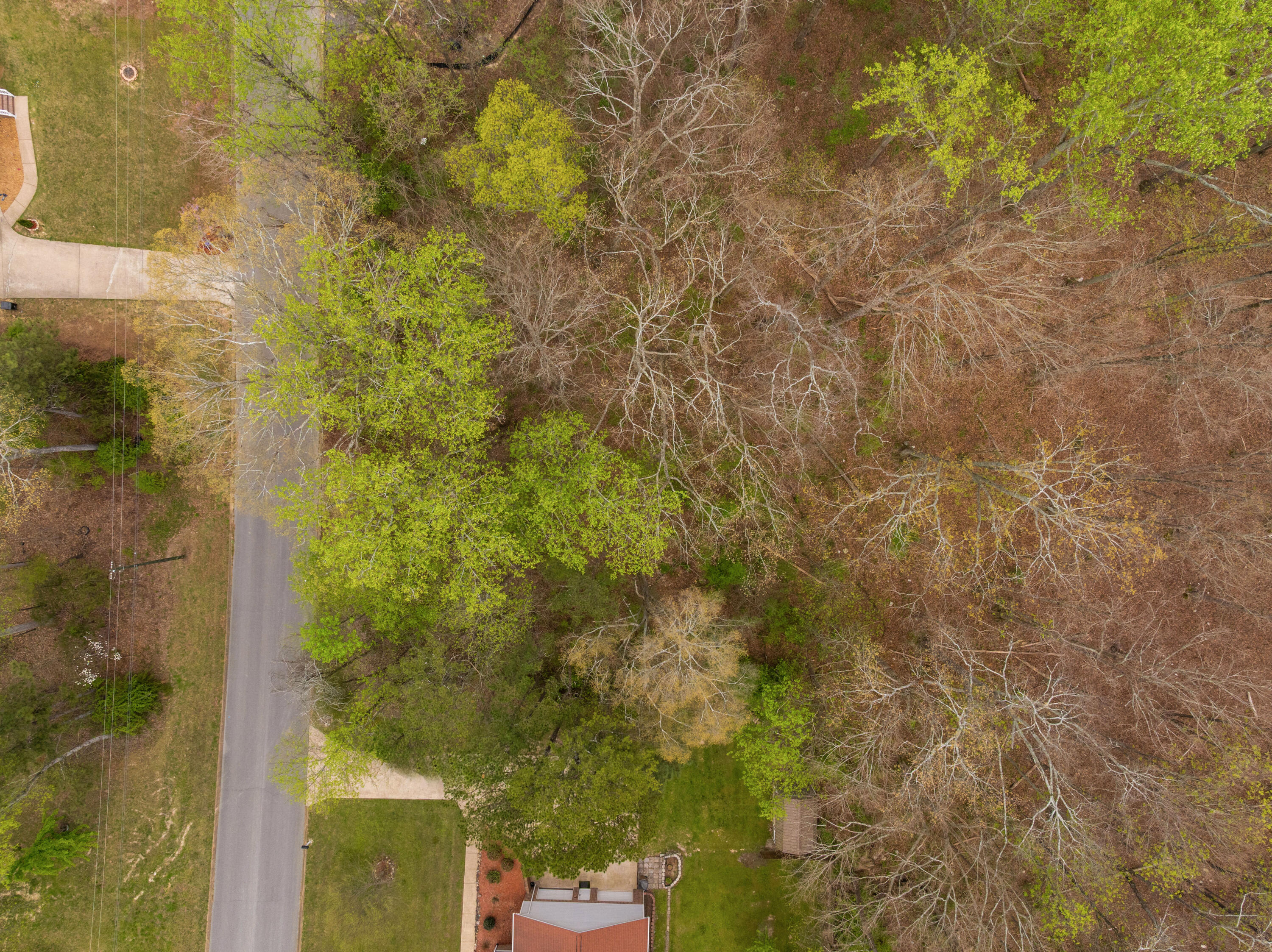 269 Sutton Drive Ringgold, GA 30736 - Photo 48 of 50 13 - 269 Sutton Drive - Drone