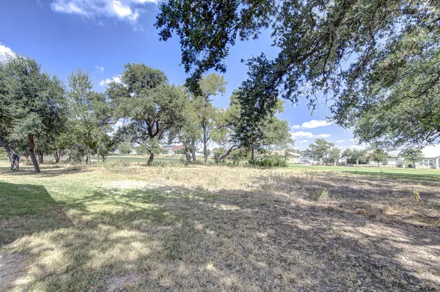 a view of yard with trees