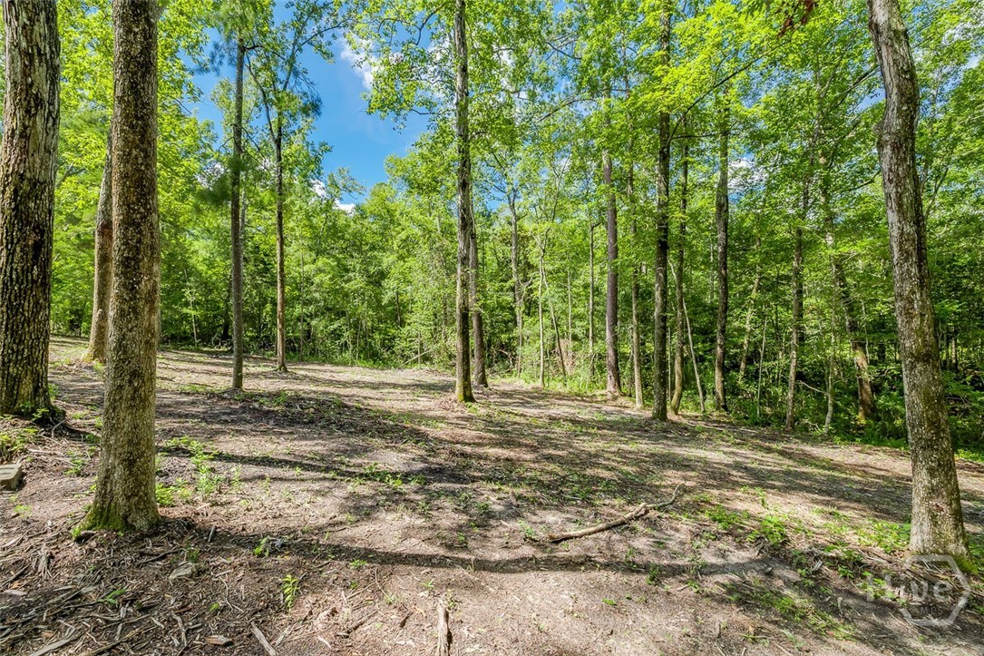 131 High Bluff Road Rincon, GA 31326 - Photo 64 of 65 Gallery Image 64