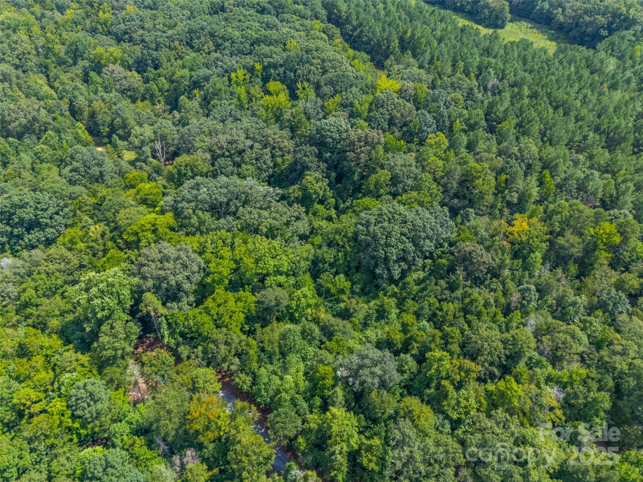 Lot 3 Ratteree Farm Road Rock Hill, SC 29730 - Photo 2 of 7 a view of a lush green forest with lots of trees