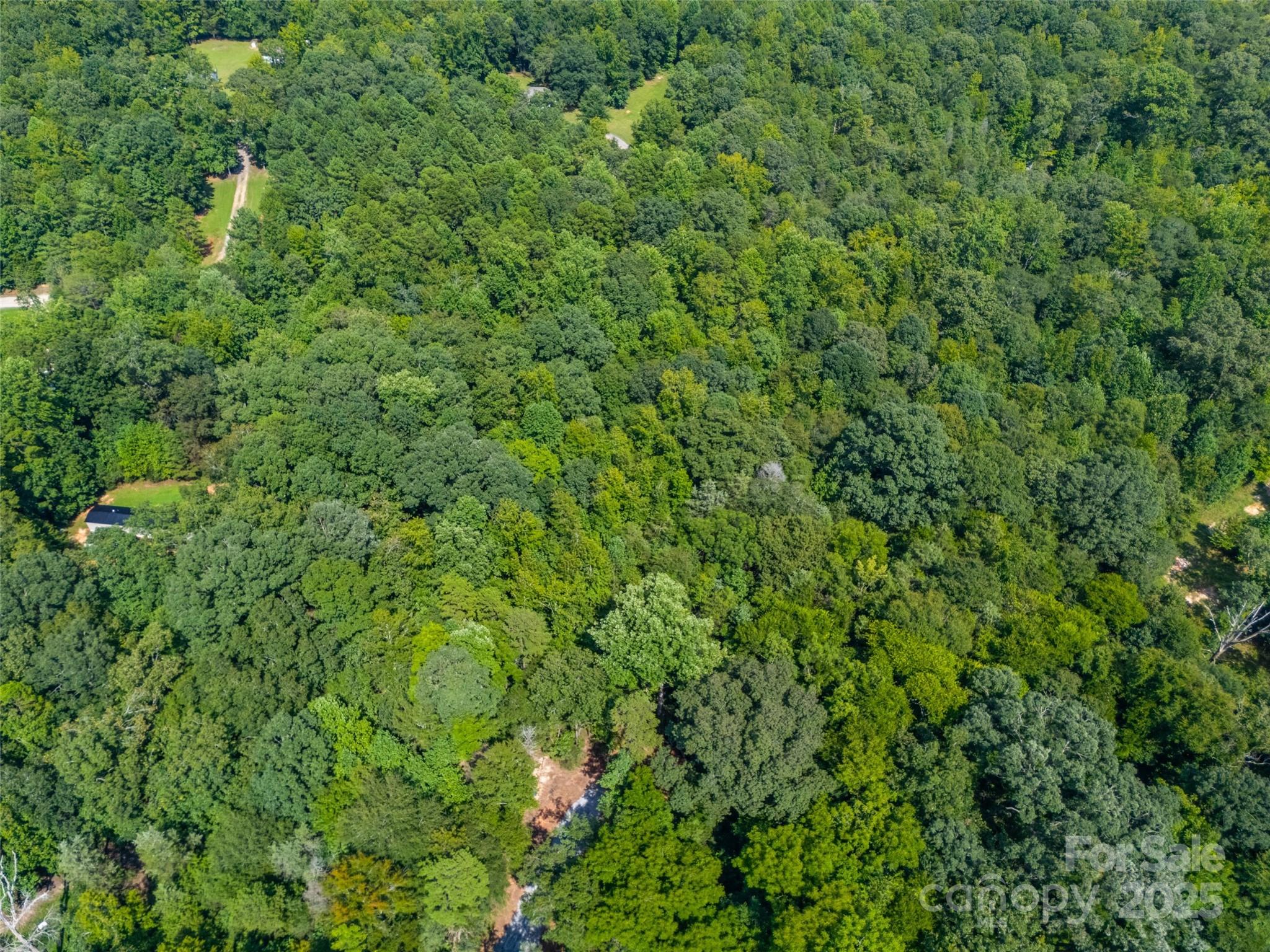Lot 3 Ratteree Farm Road Rock Hill, SC 29730 - Photo 3 of 7 a view of a lush green forest
