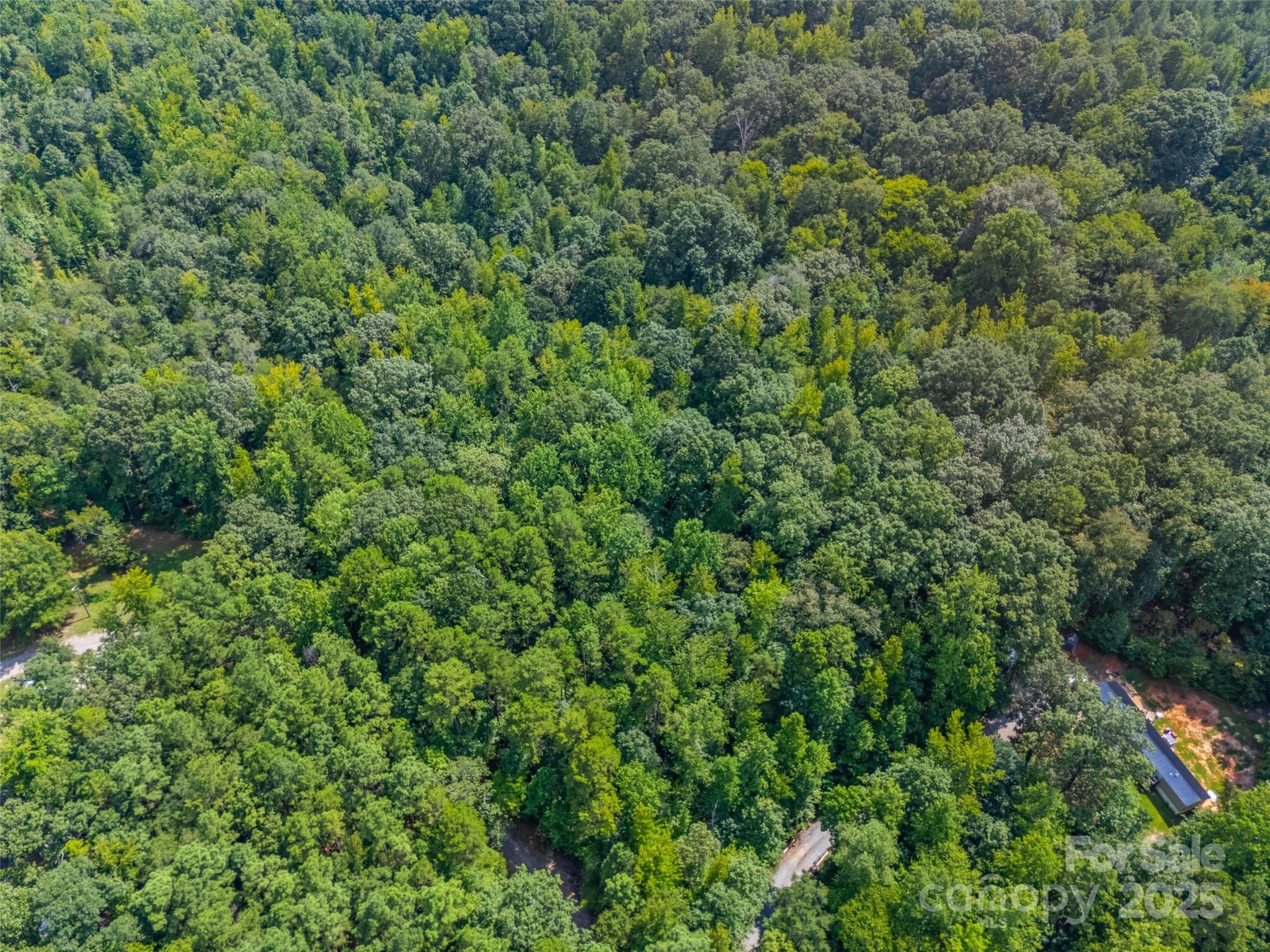 Lot 3 Ratteree Farm Road Rock Hill, SC 29730 - Photo 5 of 7