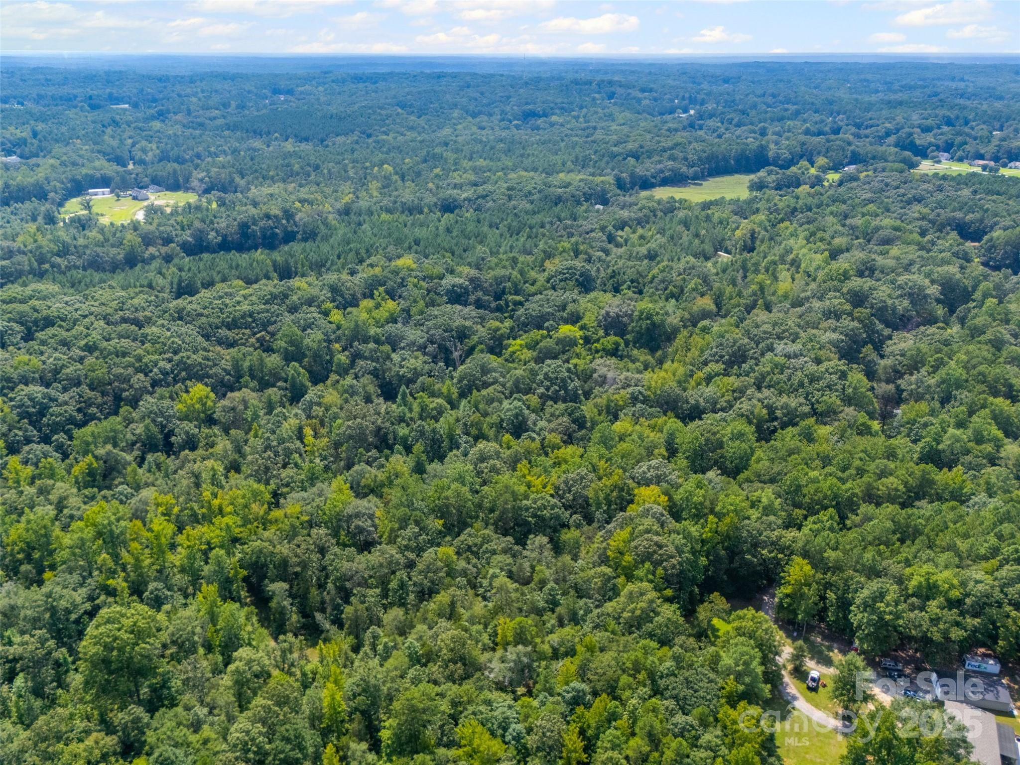 Lot 3 Ratteree Farm Road Rock Hill, SC 29730 - Photo 6 of 7 a view of a lush green forest with trees and some houses