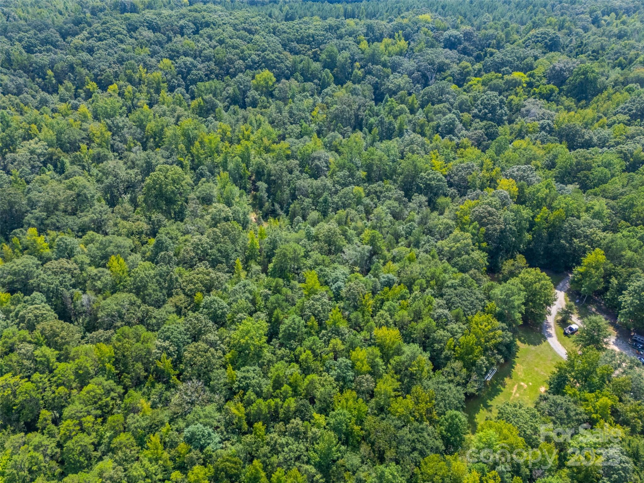 Lot 3 Ratteree Farm Road Rock Hill, SC 29730 - Photo 7 of 7 a view of a lush green forest with houses