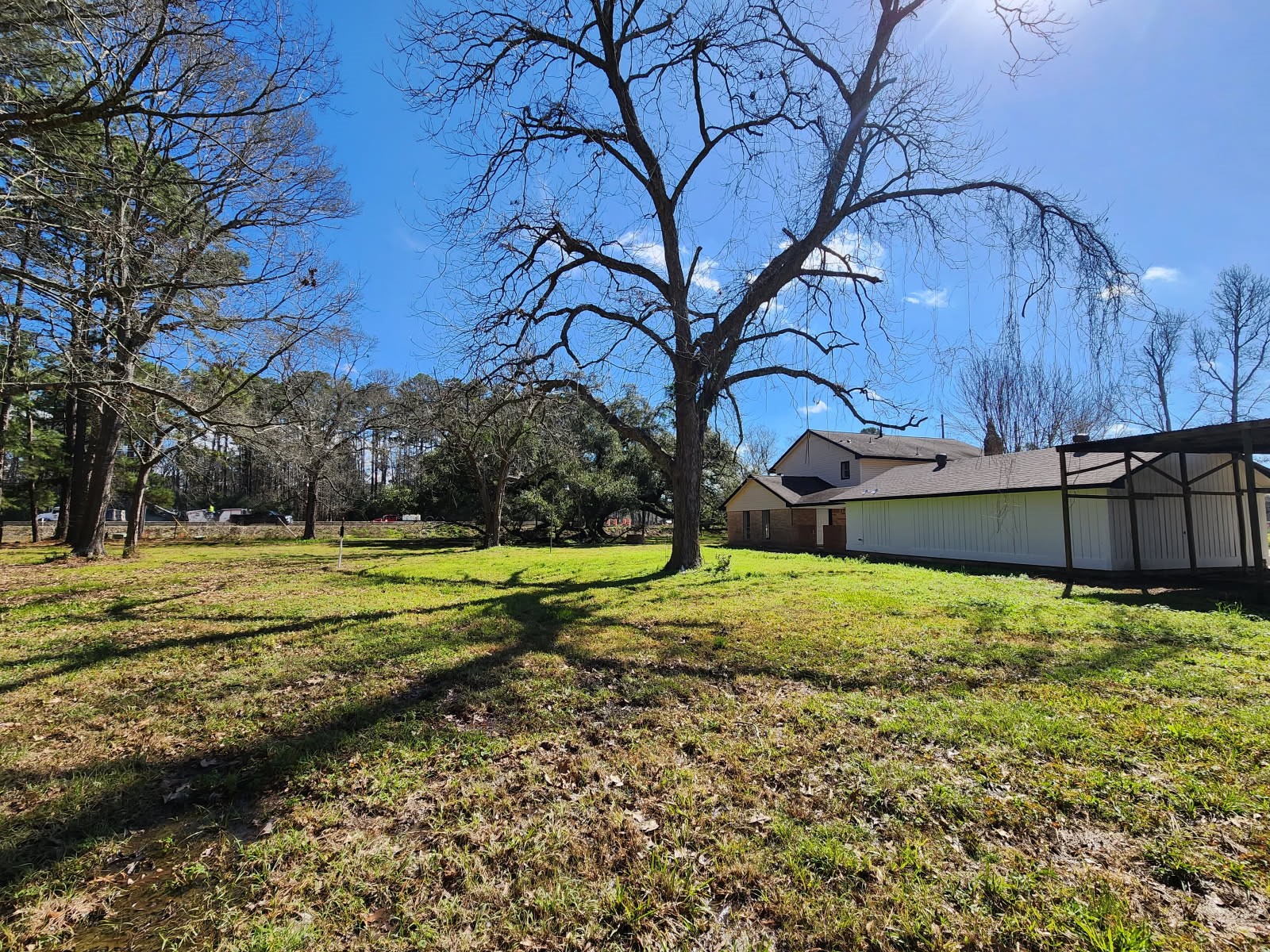 25609 Fm 2100 Road Huffman, TX 77336 - Photo 5 of 6