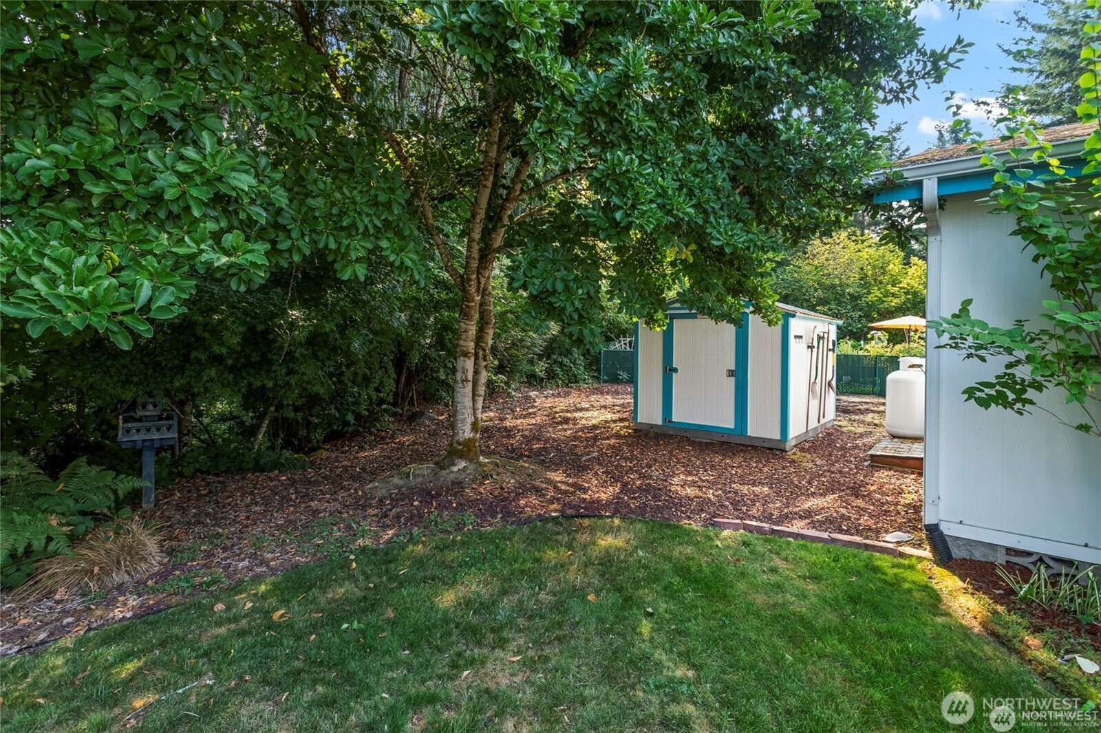 6719 241st Avenue East, Unit 46 Buckley, WA 98321 - Photo 31 of 35 a view of a backyard with a tree