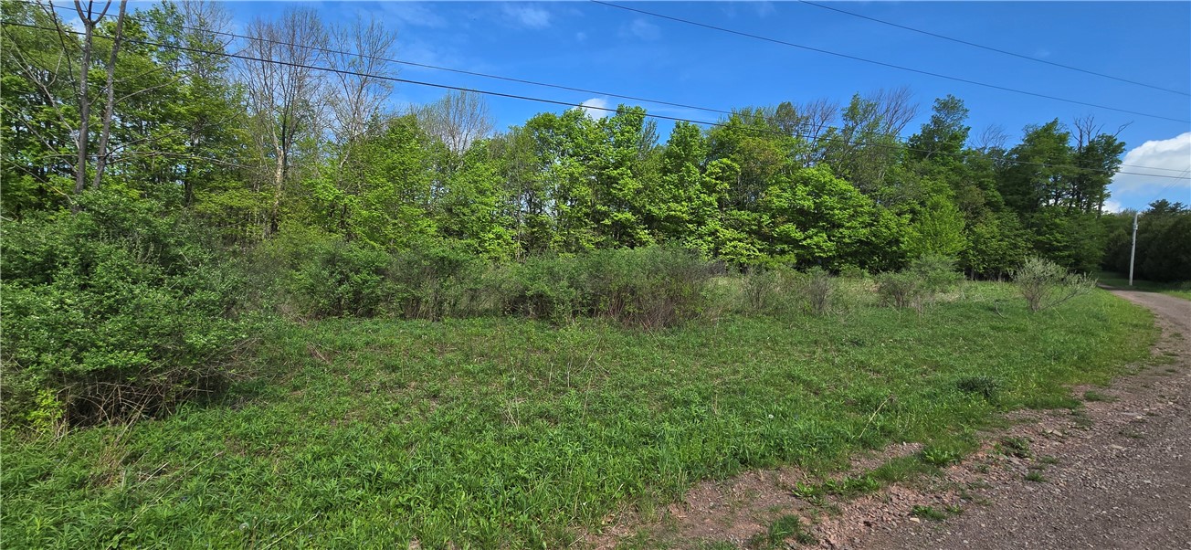 Adams Hill Road Hobart, NY 13788 - Photo 5 of 14 LOOKING NORHT BEFORE CURVE