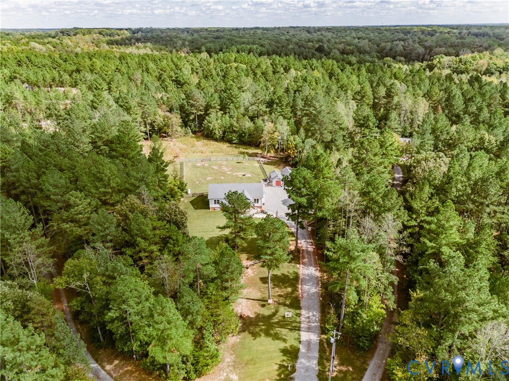 915 Manchester Road Bumpass, VA 23024 - Photo 45 of 49 a view of a yard with plants