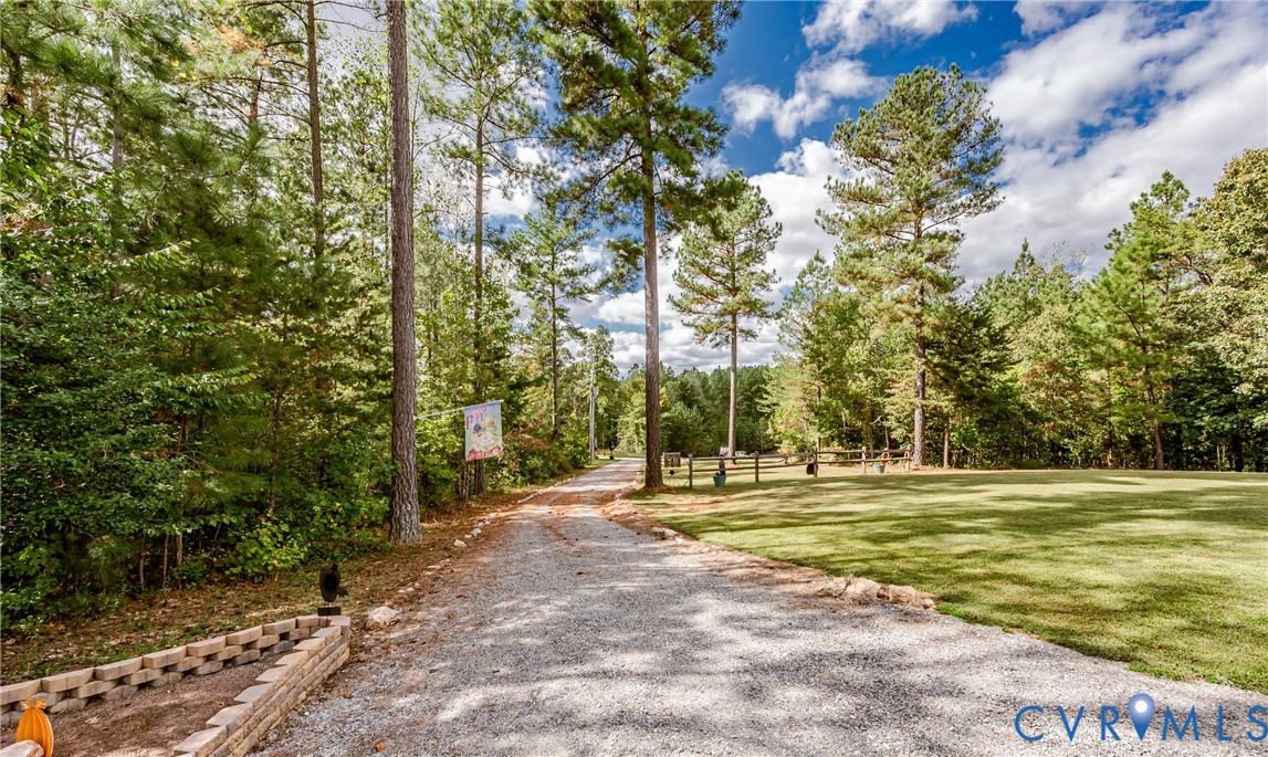 915 Manchester Road Bumpass, VA 23024 - Photo 5 of 49 a view of a tall trees with a big yard