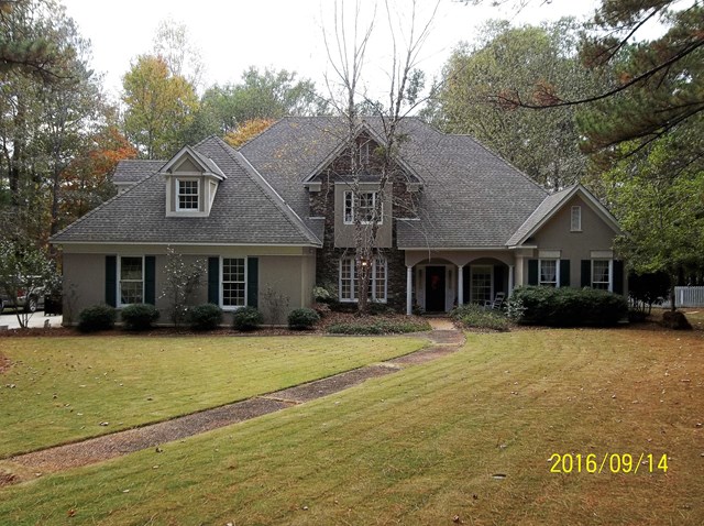 Main View