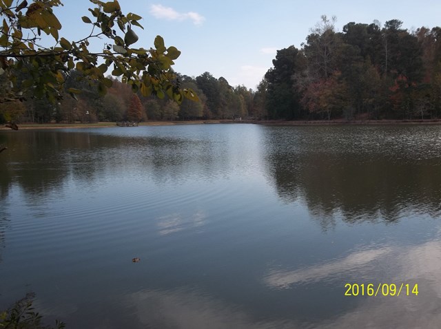 109 Almond Ridge Drive Fortson, GA 31808 - Photo 33 of 34 Lake