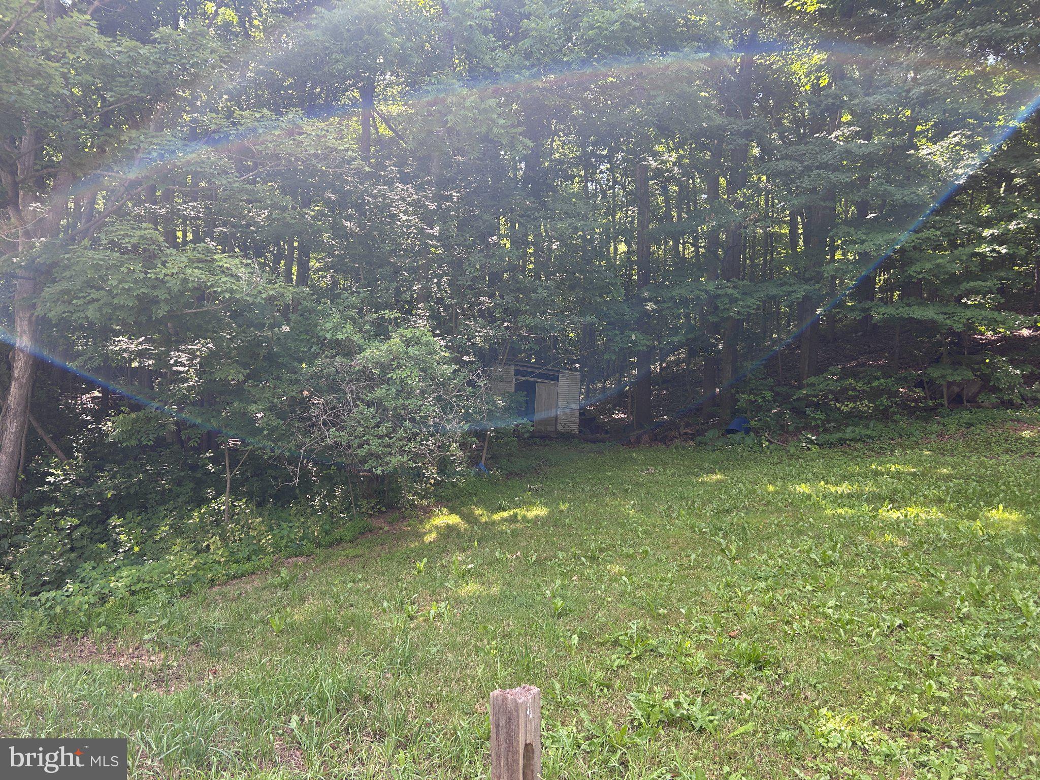 17738 Amberson Road Spring Run, PA 17262 - Photo 6 of 23 Serene woodland retreat awaits you.