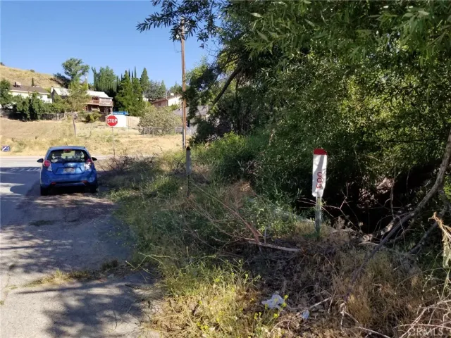 a view of a yard with plants