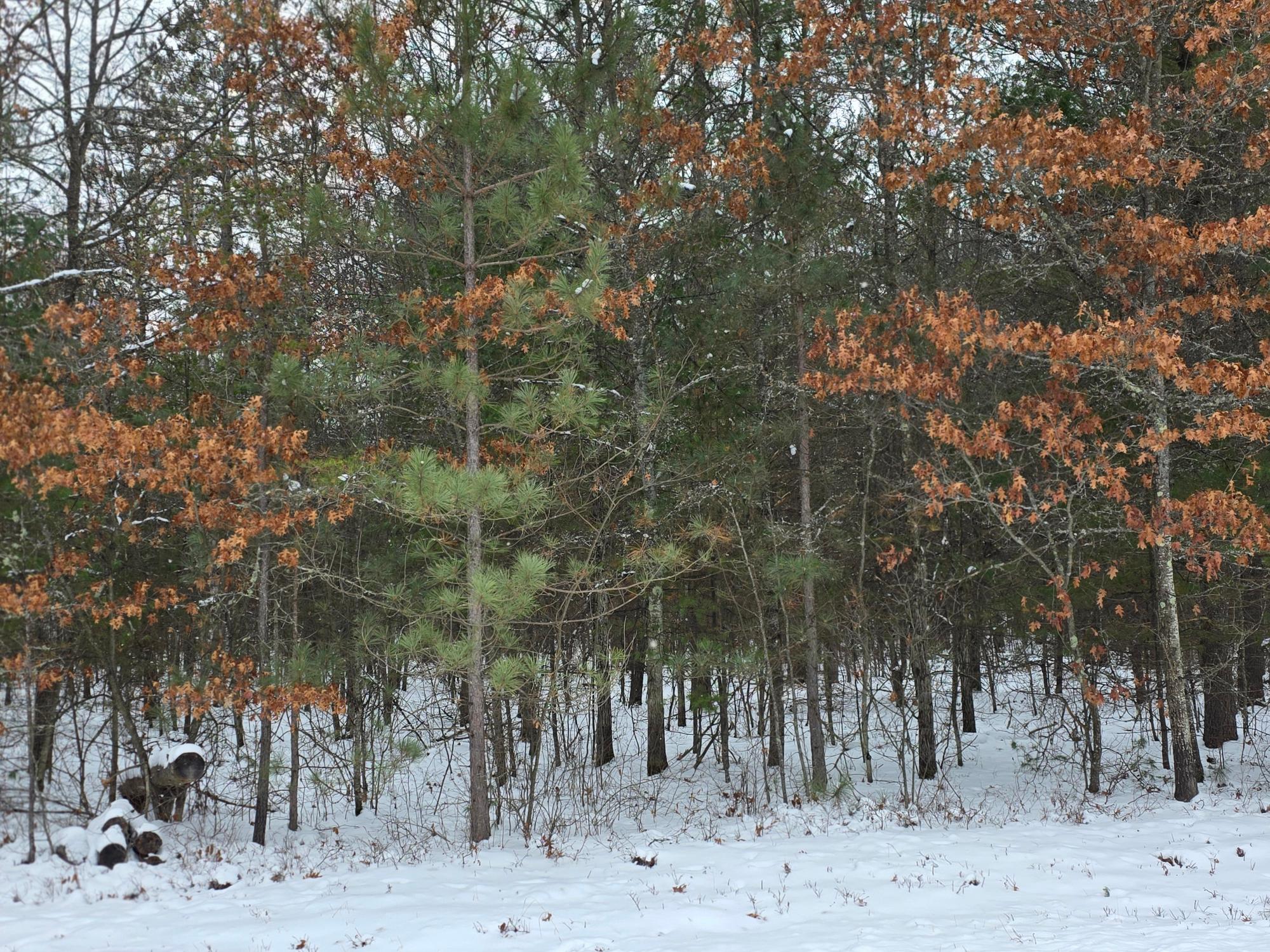 8-9 Ralph Lane Tomahawk, WI 54487 - Photo 1 of 4 Gallery Image 1