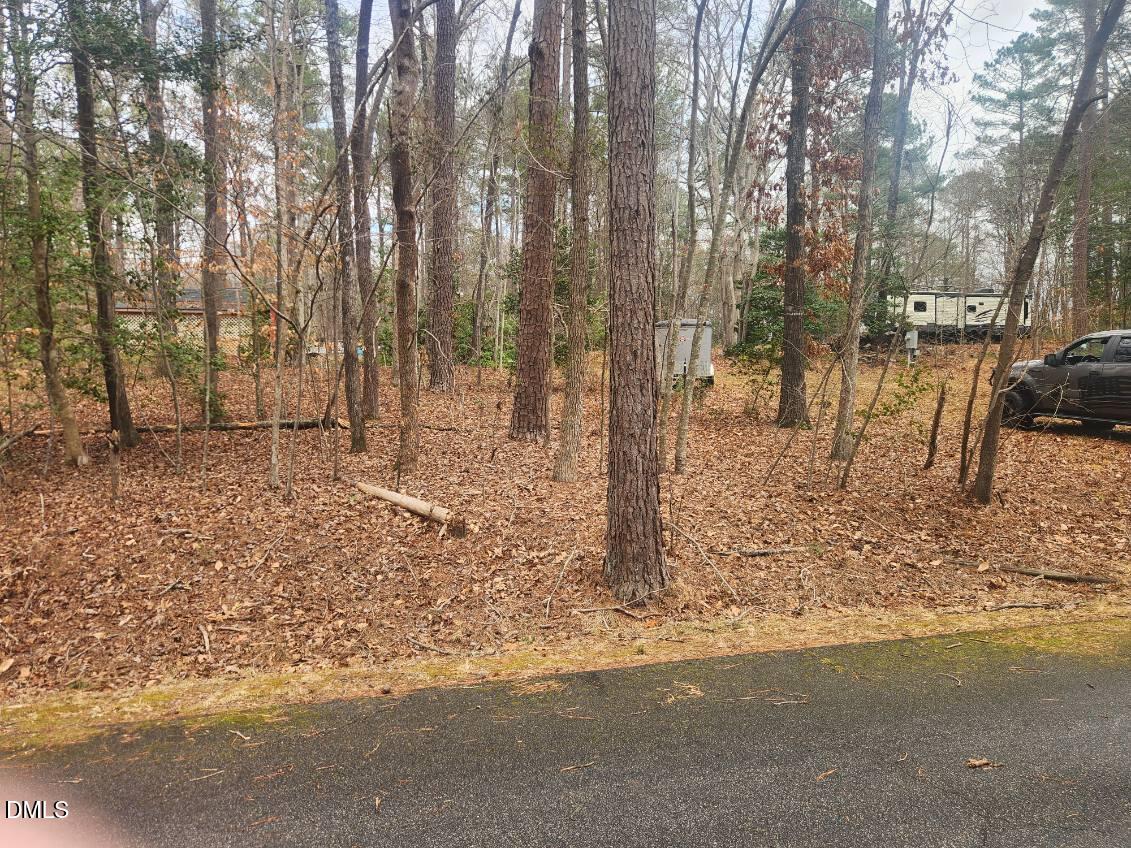 111 Miami Lane Spring Hope, NC 27882 - Photo 2 of 10 image000002 (22)