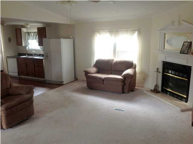 230 Grapevine Road Summerville, SC 29483 - Photo 4 of 4 Additional Photo