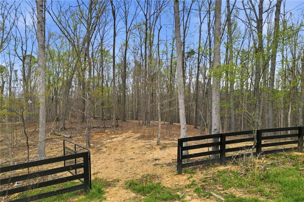 0 Carlan Road Jasper, GA 30143 - Photo 11 of 19