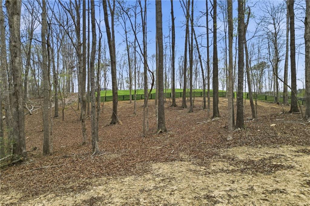 0 Carlan Road Jasper, GA 30143 - Photo 13 of 19