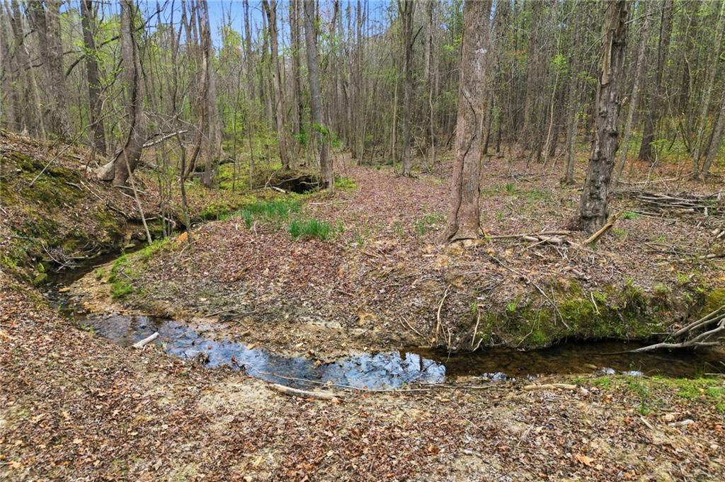 0 Carlan Road Jasper, GA 30143 - Photo 14 of 19