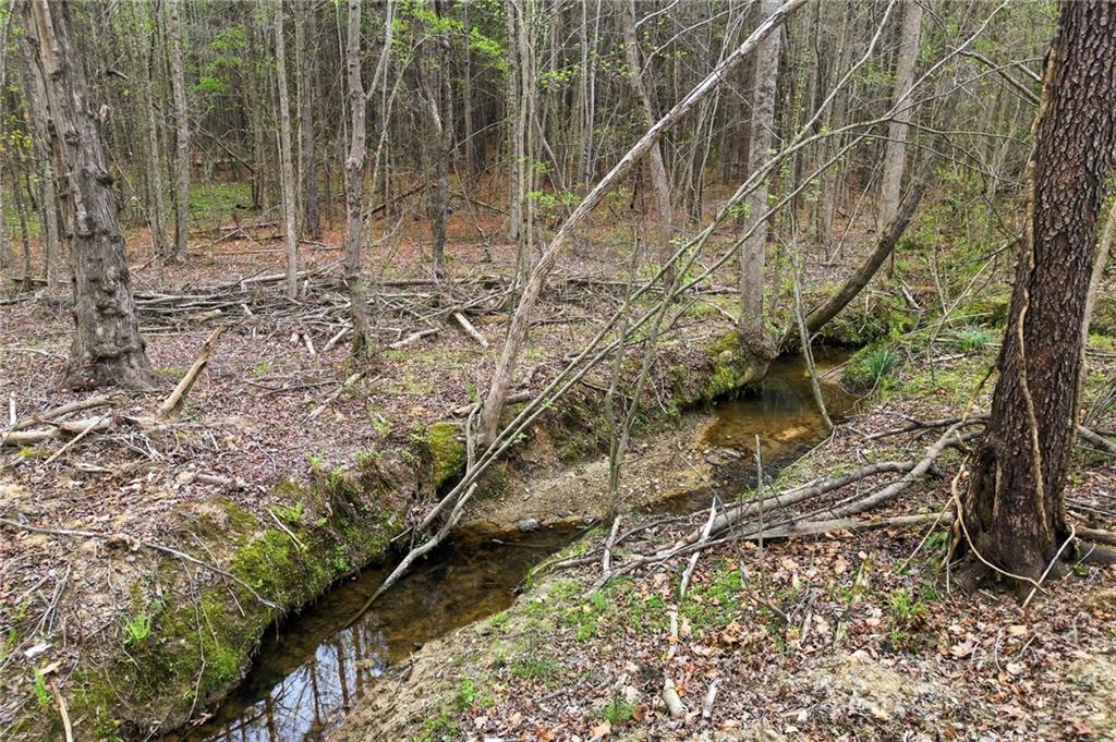 0 Carlan Road Jasper, GA 30143 - Photo 15 of 19